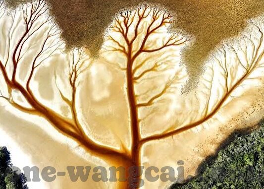 炸金花胜算分析-炸金花胜算分析，策略与技巧的深度探讨